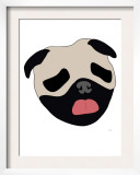 Pug