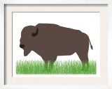 Buffalo