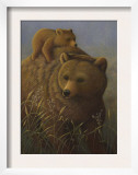 Brown Bear with Cub