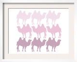 Pink Camel Family