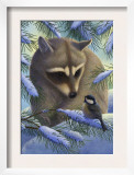 Raccoon and Chickadee in Snow