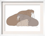 Brown Walrus
