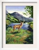 Deer Standing Near a Lake