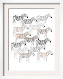 Zebra Pattern