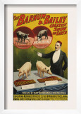 Barnum and Bailey  Poster  1900
