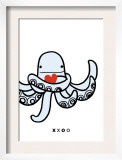 XO Octopus