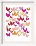 Warm Butterfly Pattern