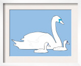 Blue Swan
