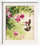 Hummingbird with Flowers