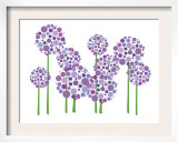 Purple Allium