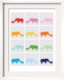 Rainbow Grey Rhinos