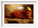 Bird on Cat