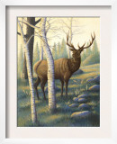 Deer in Nature