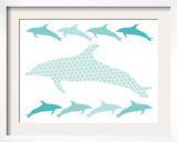 Seagreen Dolphin Family