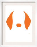 Orange Floppy Ears