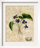 Vintage African Violets with Toad