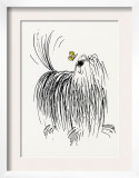 Shaggy Dog with Butterfly