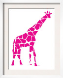 Pink Reticulated