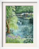 Two Swans on a Pond