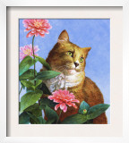 Orange Cat with Zinnia