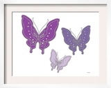 Purple Butterfly