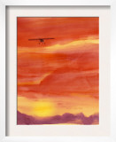 Airplane in Orange Sunset