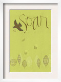 Soar