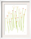 Orange Dandelion