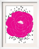 Fushia Peony