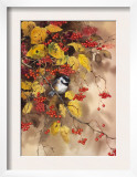Bird on Branch