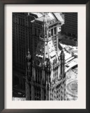 The Top of the Woolworth Building  New York City  May 1  1972