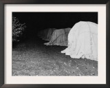 California Citrus Heritage Recording Project  Tenting Citrus Trees at Night  Riverside County  1930