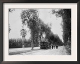 California Citrus Heritage Recording Project  Magnolia Avenue  Riverside County  1920-1930