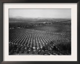 California Citrus Heritage Recording Project  Arlington Heights Citrus Groves  Riverside Co  1930