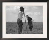 Cotton Sharecroppers Weeding their Small Cotton Crop in Greene County Georgia