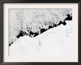 East Antarctica'S Prince Olav Coast