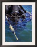 Navy Seal Combat Swimmer