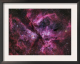 The Eta Carinae Nebula