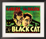 The Black Cat  Boris Karloff  Bela Lugosi  1934