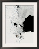 Ross Sea  Antarctica