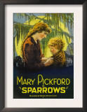 Sparrows  1926