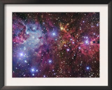 NGC 2264