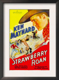 Strawberry Roan  1933