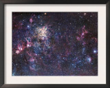 The Tarantula Nebula