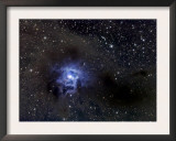 Iris Nebula
