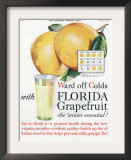 Florida Grapefruit  Colds Flu Fruit  USA  1920