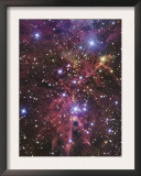 Stellar Nursery Located Towards the Constellation of Monoceros