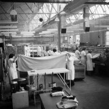 Laundry Workers
