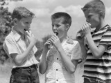 Three Boys All Wearing Short Sleeve Shirts and Two With Crew Cuts Eating Hot Dogs