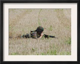 Belgian Paratroopers on Guard in the Fields